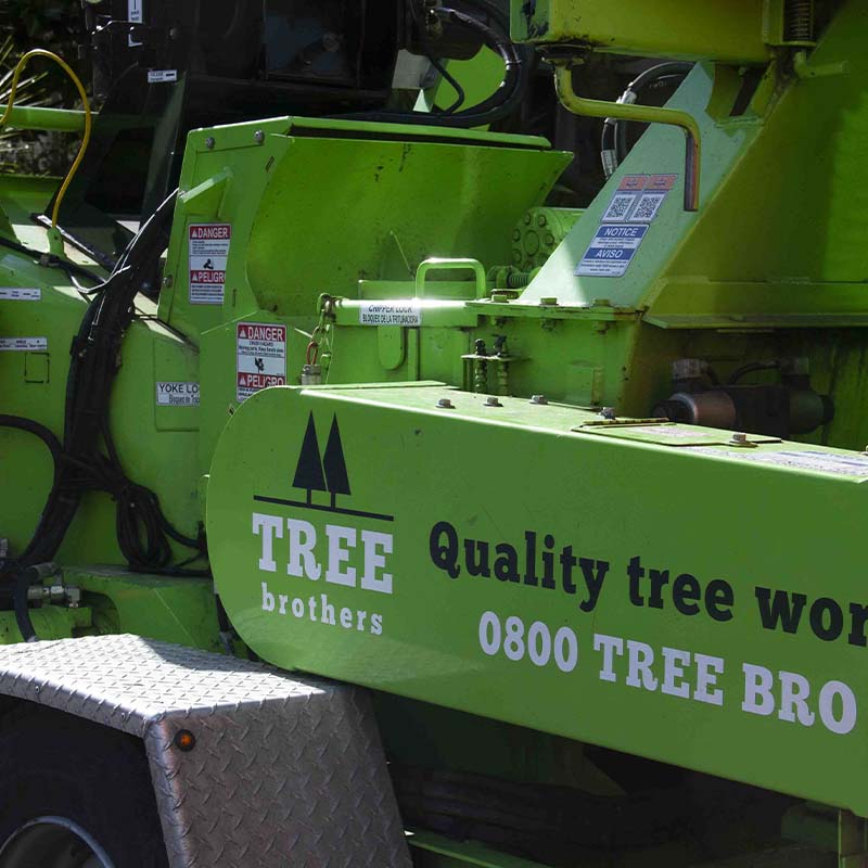 Tree Mulching Service