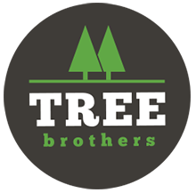 Tree Brothers